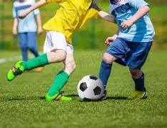 米博体育,资讯,米博体育平台,米博体育平台,米博体育官方网站,米博体育登录入口,米博体育app下载