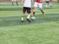 厄德高迎来,岁生日,阿森纳致敬,米博体育平台,米博体育官方网站,米博体育登录入口,米博体育app下载