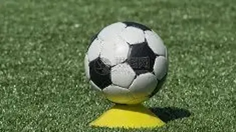 米博体育 产品 115556 93d