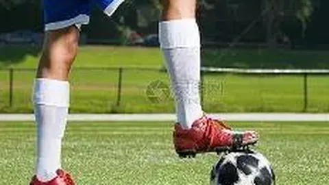 土壤重金属快速检测装置车制作技术